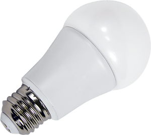 photo_led_bulb